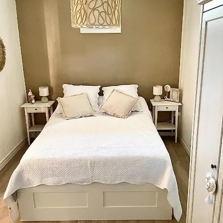 公寓 Magnifique Au Coeur Du Centre 塞特港